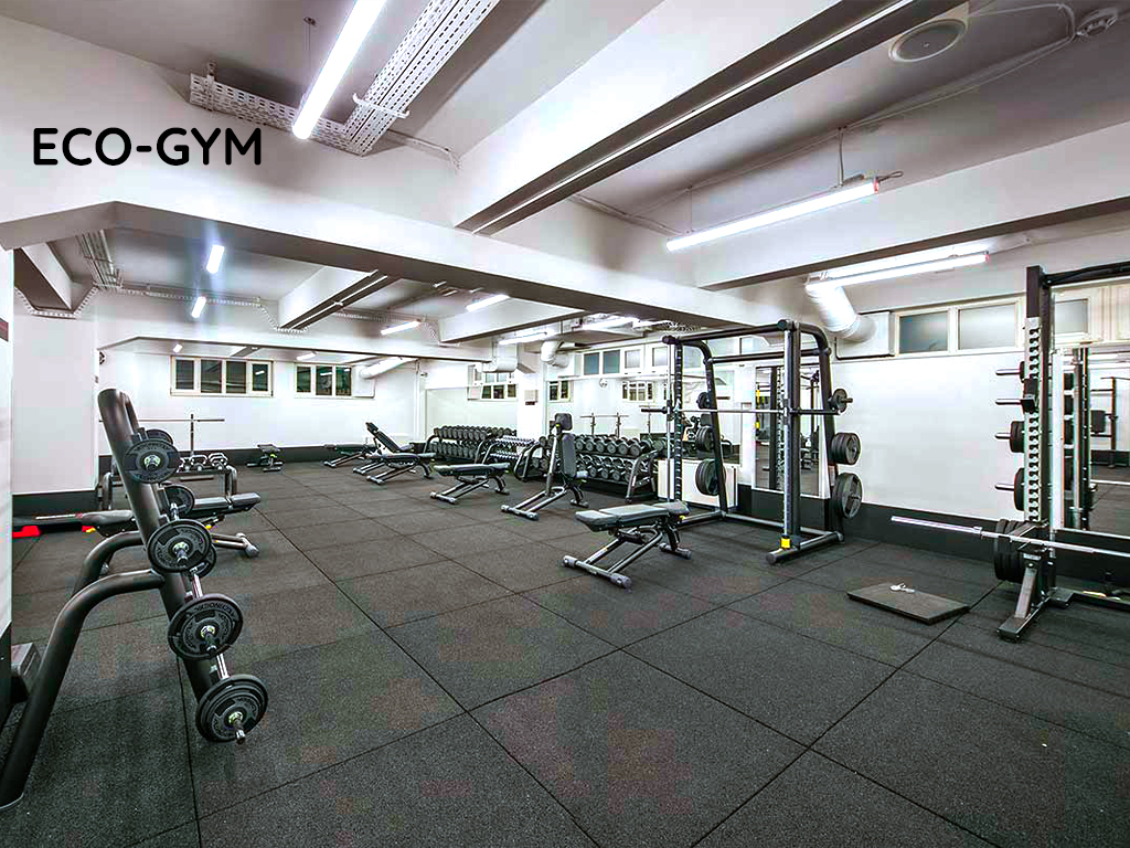 GYM2