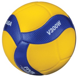 v300w_2-1-1024x1024-1738842792